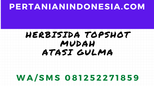 Herbisida Topshot Atasi Gulma Secara Mudah